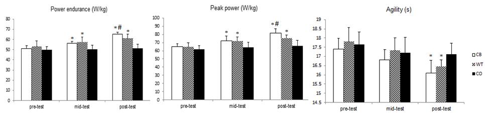 13 Figure 4. Average Change in Power Endurance, Peak Power and Agility after Training in Tennis Players. Data are mean ± SD.