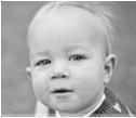 Sequential Brain Development Infant Age 1-2 Age 2-3 Age 4-10+ Brainstem: