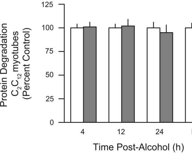 Acute effect of alcohol (no exercise) Protein