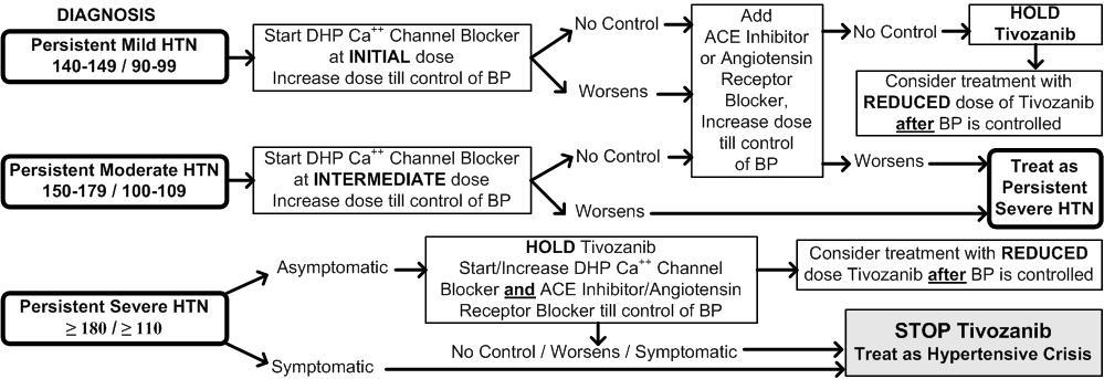 by holding tivozanib and initiating or increasing the calcium channel blocker in conjunction with another antihypertensive until blood pressure was controlled.