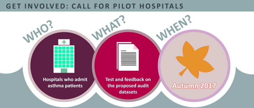 All team members actively involved in the pilot will be acknowledged in the final report and receive a certificate of participation. What will be required of pilot hospitals?