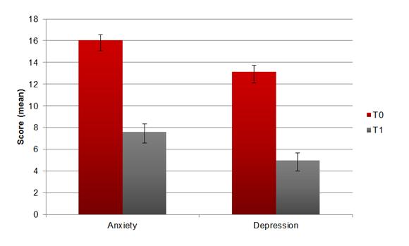 Hospital Anxiety and Depression Scale Score