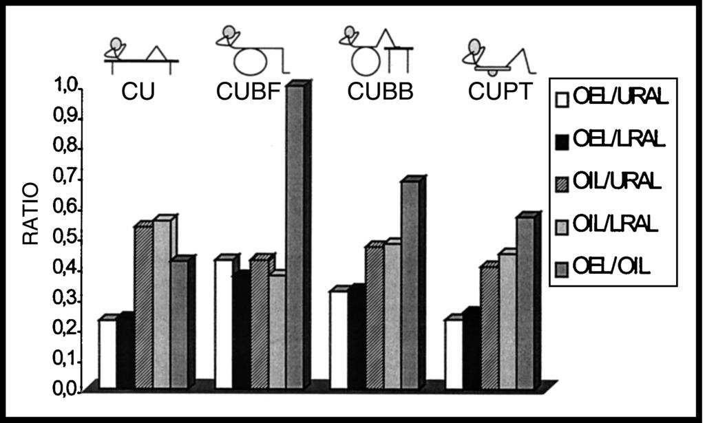 indicates difference in average electromyographic activity as a percentage of maximal voluntary contraction (P.05, repeated-measures analysis of variance) between curl-up exercises.