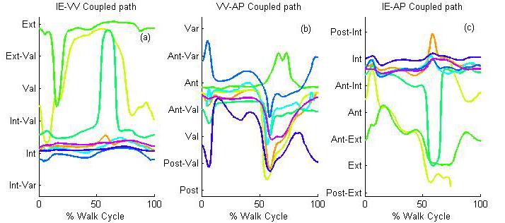 Fig. 25 The walk cycle coupled paths as compared to the IE-VV, VV-AP and IE-AP coupled passive kinematic envelope for all specimens.