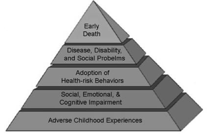 Adverse Childhood Experiences (www.acestudy.org) (www.cdc.gov/ace) Death Whole Life Perspective Conception R. Fallot, Ph.D. ACE Study (cont.