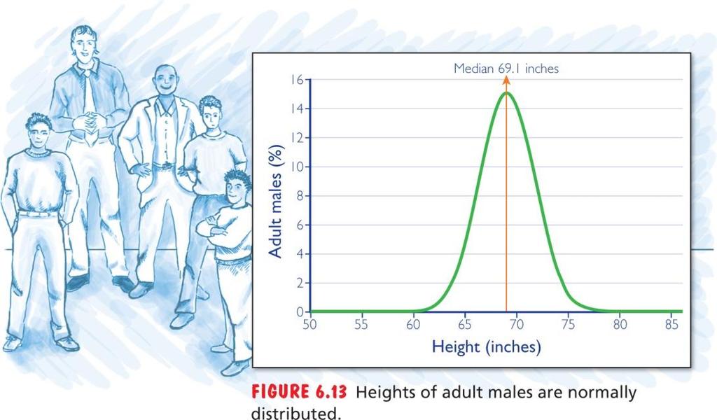 The bell-shaped curve: Figure 6.13 shows the distribution of heights of adult males in the United States. A graph shaped like this one resembles a bell thus the bell curve.