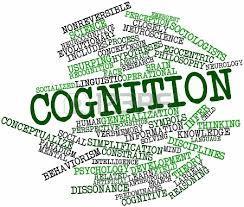 3 Background Both occupational therapy theory and research support the principle that cognition is essential to performance of everyday tasks (Toglia & Kirk, 2000).