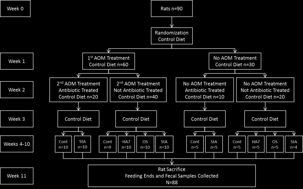 68 Figure 2-1 Flow diagram of the animal study detailing the treatment schedule for AOM, antibiotic, and diet up until sacrifice.