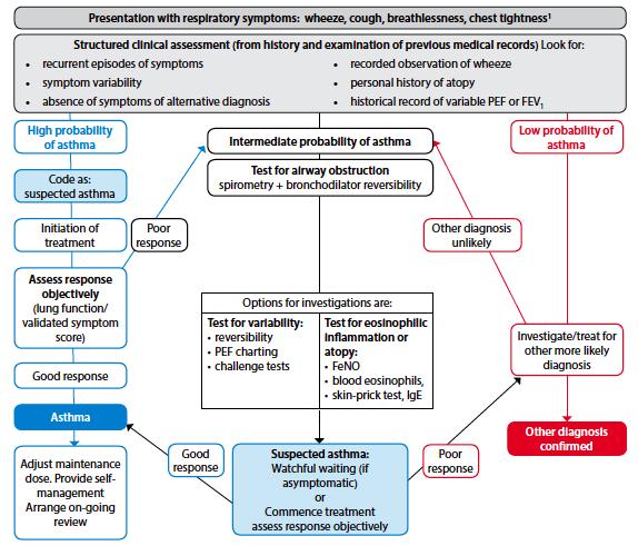 Diagnosis Diagnostic Algorithm For patients with suspected Asthma,
