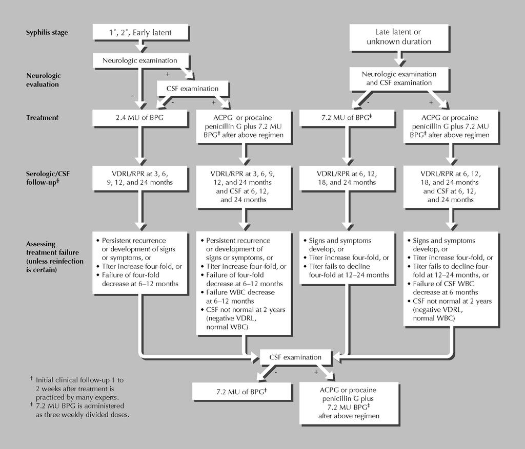 76 Update on AIDS Figure 1. Algorithm for management of syphilis in HIV-infected patients.