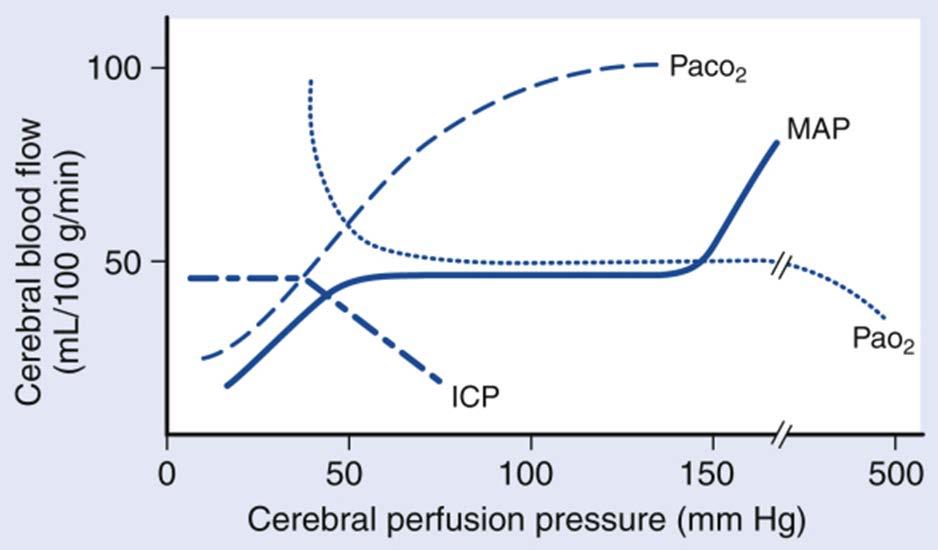CBF, Pressures and Blood Gases Modified from: Cottrell and Young s neuroanesthesia, 5 th Ed.