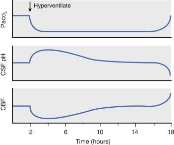 Hyperventilation and Rebound effect Return to baseline Rebound increase in CBF and ICP after discontinuation of Hyperventilation.