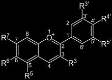 Flavonoids: Anthocyanins sugar = Anthocyanidins,