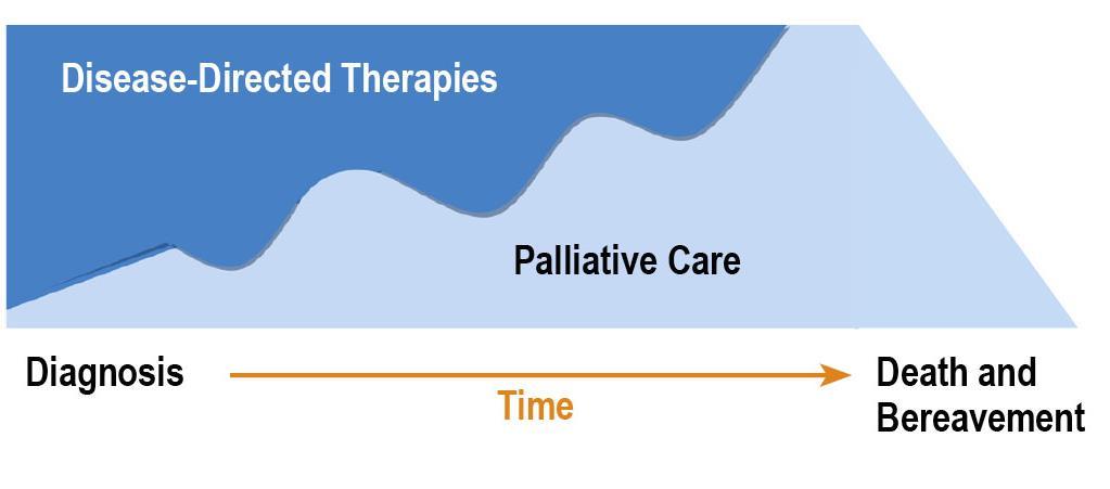 Conceptual Shift for Palliative Care Life Prolonging Care Medicare Hospice