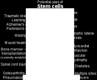 cells can be taken from: