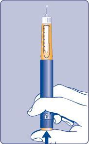 Holding the pen with the needle up, press the push button at the bottom of the pen all the way in [E]. A drop of solution will appear at the needle tip.