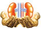Free!! Kidney Guide in 20 Languages at www.kidneyeducation.