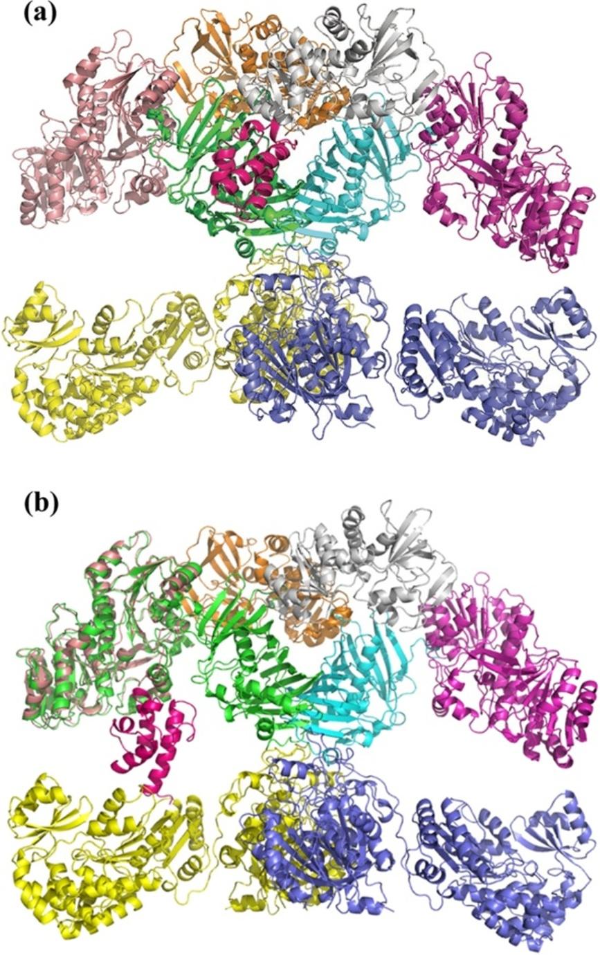 Anand and Mohanty BMC Structural Biology 2012, 12:10 Page 18 of 21 Figure 13 (a) The figure shows the DH-ACP complex transformed on to the structural model for module 4 of erythromycin PKS.