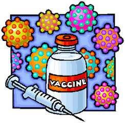 Vaccines as seen by the immune system cell