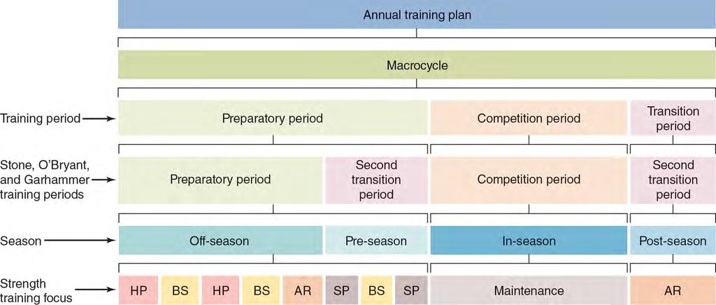 Relationship of Periodization to Sport Seasons and Strength Training Focus