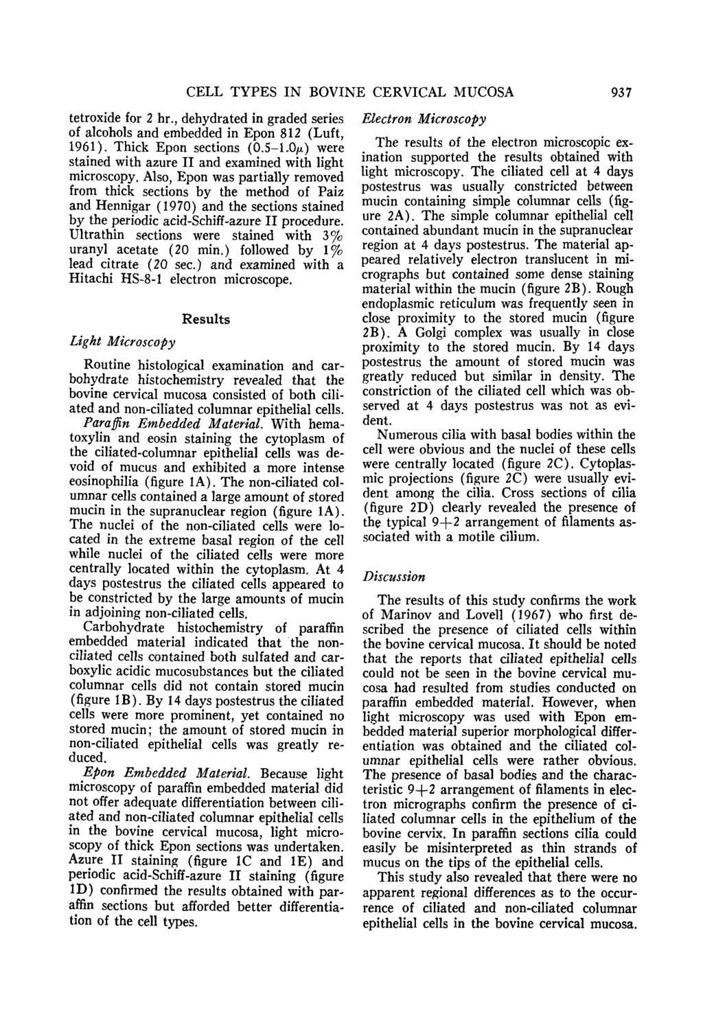 CELL TYPES IN BOVINE CERVICAL MUCOSA 937 tetroxide for 2 hr., dehydrated in graded series of alcohols and embedded in Epon 812 (Luft, 1961). Thick Epon sections (0.5-1.