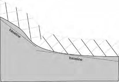 26 S. Dawson et al. Fig. 2. Where there are gradients in offshore and alongshore distribution, transects at 45 can be a good solution.