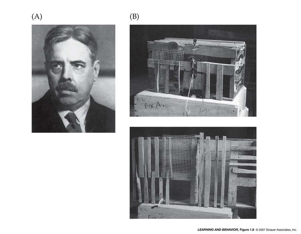 1.8 (A) Edward Thorndike; (B) Two puzzle boxes