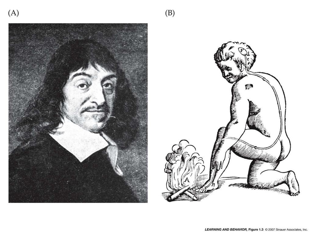 1.3 (A) René Descartes; (B) René