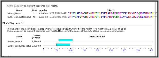 Figure: 3 Motif Prediction MEME Server Light Blue color indicates