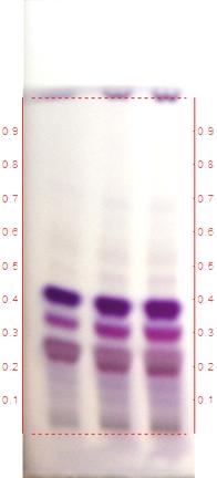 green) 0.65 (DF. blue) 0.65 (L. purple) - - 0.69 (L. purple) - 0.74 (F. blue) - - - 0.80 (L. purple) - 0.92 (DF.