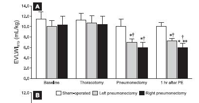 Sham thoracotomy 12 Right pneumonectomy 6