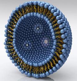 Liposomal Encapsulation Technology explained - What is a liposome and why do we need it?