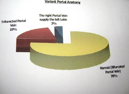 percentage of the portal vein anomalies in relation to the