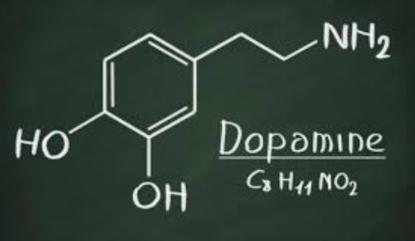 dopa meds Especially dopamine (D2) agonists Neuroimaging decreased binding of dopamine in