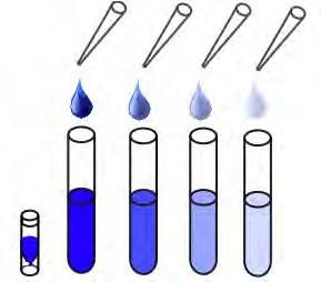Sample Preparation Continued Standard Preparation Label one test tube as Stock 2 and seven test tubes as #1 through #7.