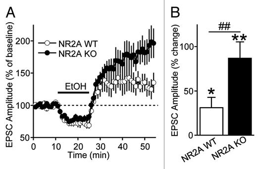 Inhibition of the EPSCs in the presence of a NR2B-NMDAR specific antagonist, Ro 25-6981, was similar in DMS and DLS neurons.