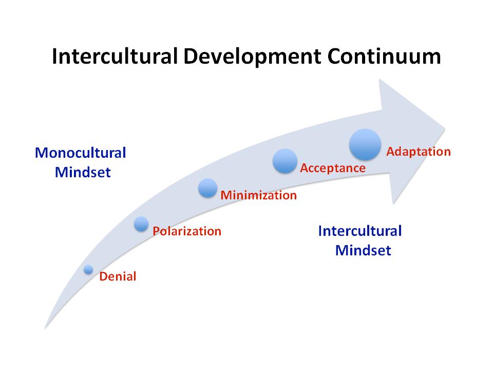 The IDI Continuum Denial and Polarization are considered monocultural in that one s own culture is seen as the only culture or to varying extents the better culture.
