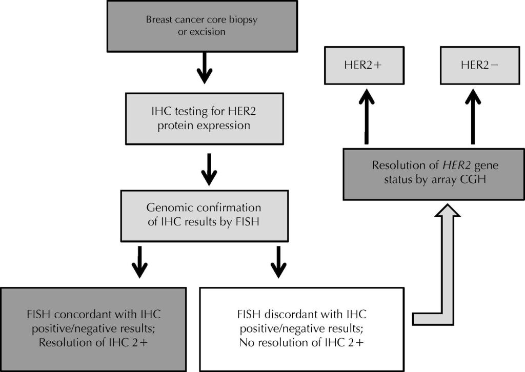 Figure 6. Proposed algorithm for establishing HER2/neu status in breast cancer samples by protein expression and genomic analysis.