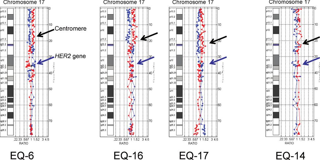 Figure 4. Chromosome 17 ratio plots in HER2/neu-positive cases with aneusomy and polysomy.