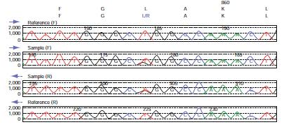 Results sequence traces for part of exon 21, showing a T>G transversion at nucleotide 2573 causing a leucine to