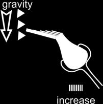 In addition to head movements, gravity "pulls" on the stone crystals.