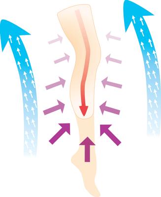 Medical Conditions DVT: Deep Vein Thrombosis One of the most important things an