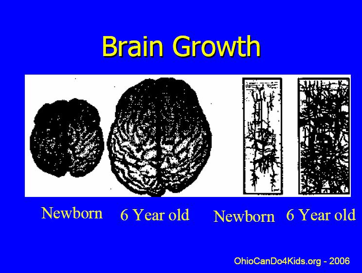 WHOLE BRAIN WEIGHT IN GRAMS Growth of