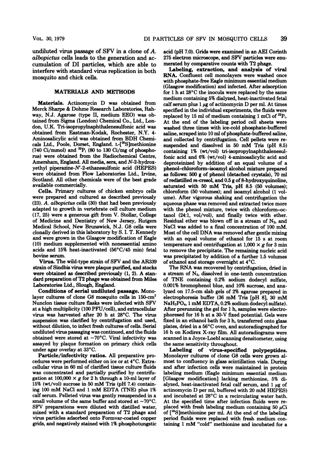 VOL. 30, 1979 DI PARTICLES OF SFV IN MOSQUITO CELLS 39 undiluted virus passage of SFV in a clone of A.