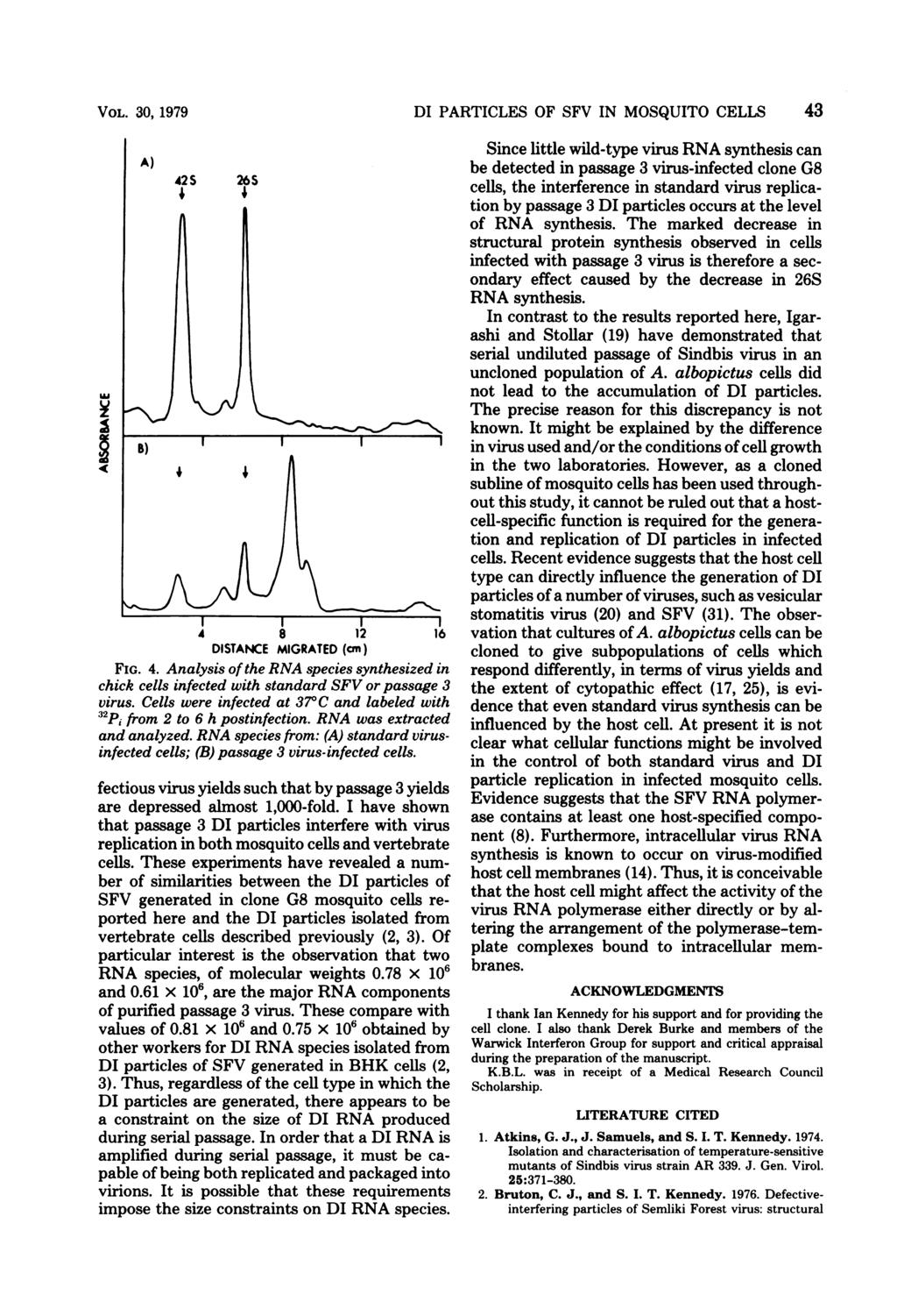 VOL. 30, 1979 A) 42S 4 4 26S DISTANCE MIGRATED (cm) FIG. 4. Analysis of the RNA species synthesized in chick cells infected with standard SFV or passage 3 virus.