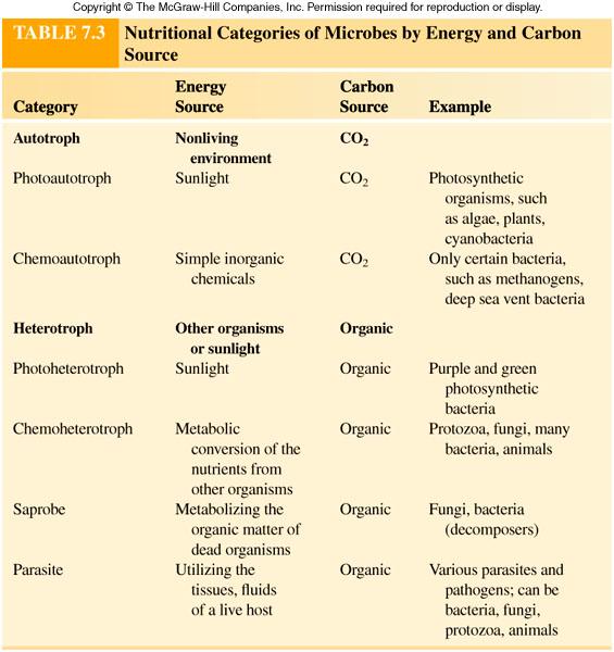 Summary of the different nutritional categories based on carbon and energy