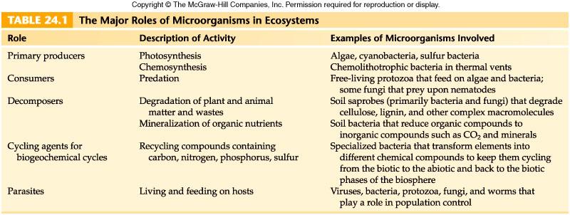 The roles, description of their activities, and types of microorganisms involved
