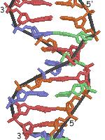 The Basics: A general review of molecular biology: DNA