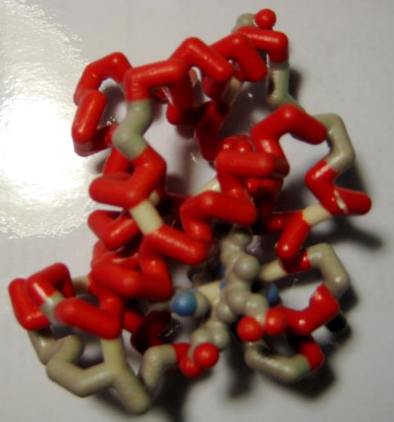 structures Follow the chains through the entire protein.