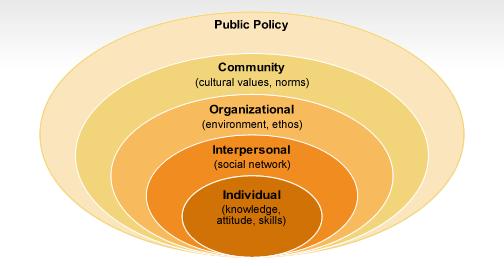 Impact of Public Policy Source: Bronfenbrenner, U. (1977).
